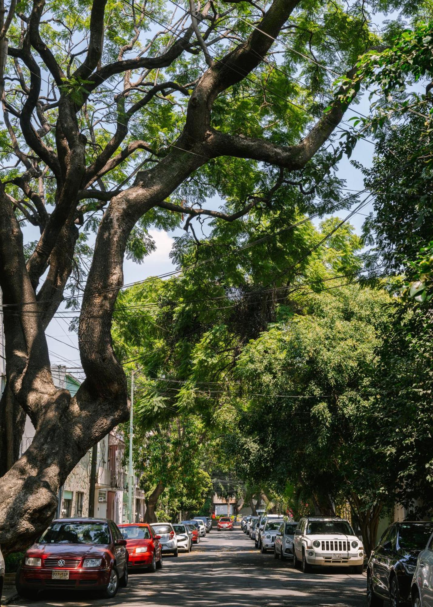 Sonder Miravalle Mexico City Exterior photo